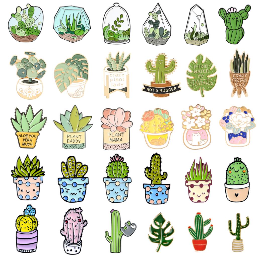 กระถางต้นไม้เข็มกลัด Monstera  - Aloe Vera Pot บทวิจารณ์และราคา
